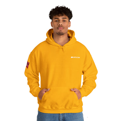 "Retro Eagle" - Heavy Blend™ Hooded Sweatshirt